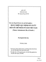 Hoàn thiện qui trình sản xuất một số chế phẩm từ sâm việt nam (panax vietnamensis)