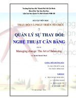 tiểu luận quản lý sự thay đổi - nghệ thuật căn bằng