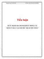 Tiểu luận: Quản trị rủi ro thanh khoản trong các ngân hàng thương mại Việt Nam dựa vào chỉ tiêu “hệ số tiền nóng”