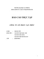 báo cáo thực tập tại công  ty  cổ  phần  vạn  phúc