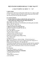 MỘT SỐ KINH NGHIỆM KHI DẠY VÀ HỌC MẠO TỪ