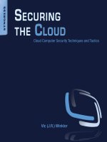 securing the cloud cloud computer security techniques and tactics