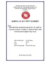 khóa luận tốt nghiệp môi trường kinh doanh quốc tế  những vấn đề cơ bản , cơ hội và thách thức đối với doanh nghiệp việt nam