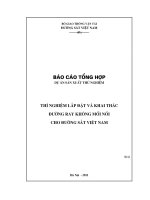 Thí nghiệm lắp đặt và khai thác đường ray không mối nối cho đường sắt việt nam