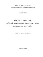 Tập hút toàn cục đối với một số lớp phương trình Parabolic suy biến