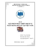 hoạt động huy động vốn tại các ngân hàng thương mại việt nam hiện nay -thực trạng và các giải pháp
