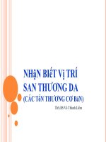 nhận biết vị trí san thương da (các tổn thương cơ bản)