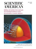 scientific american   -  1993 05  -  building soft machines from smart gels