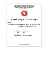 Một số giải pháp nhằm phát triển hoạt động tín dụng tài trợ xuất nhập khẩu tại ngân hàng đầu tư và phát triển hà tây