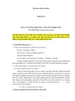 báo cáo thực tập  tổng hợp mẫu