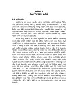 đánh giá mô hình  liên kết bốn nhà trong sản xuất và tiêu thụ sắn