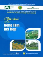 Giáo trình mô đun Nông lâm kết hợp