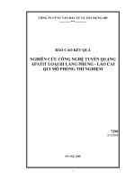 Nghiên cứu công nghệ tuyển quặng apatit loại III làng phúng lào cai quy mô phòng thí nghiệm