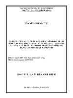 nghiên cứu xác lập các điều kiện thích hợp để cố định nấm men saccharomyces cerevisiae trong gel alginate và trên cellulose vi khuẩn nhằm ứng dụng lên rượu vang nho