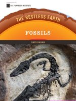 fossils (the restless earth)