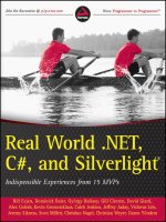 real world .net 4, c#, and silverlight [electronic resource] indispensable experiences from 15 mvps