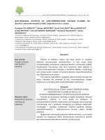 Bactericidal effects of low temperature oxygen plasma on bacillus stearothermophilus and staphylococcus aureus