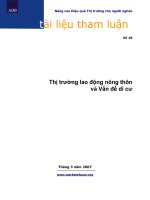 tài liệu tham luận số 18 thị trường lao động nông thôn và vấn đề di cư
