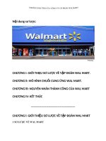 Tiểu luận: Chuỗi cung ứng của Công ty Cổ phần Walmart