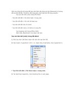 HƯỚNG DẪN LIÊN KẾT FIRE TRONG WORD 2003