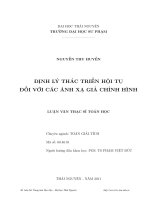 Định lý thác triển hội tụ đối với các ánh xạ giả chỉnh hình