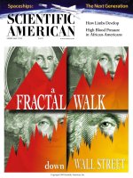 scientific american   -  1999 02  -  a fractual walk down wall street