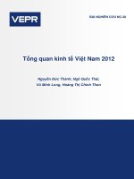 Tổng quan kinh tế việt nam 2012