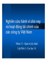 Nghiên cứu hành vi cho vay và hoạt động tài chính của các công ty việt nam