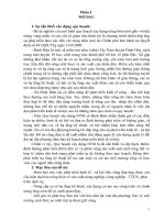 quy hoạch xây dựng nông thôn mới xã Định Biên, huyện Định Hóa, tỉnh Thái Nguyên