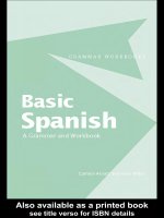 basic spanish a grammar and workbook