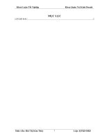 phân tích tình hình sử dụng vốn và  biện pháp nâng cao hiệu quả sử dụng vốn của công ty đại việt