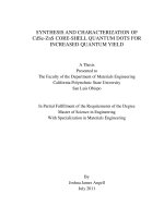 synthesis and characterization of cdse-zns core-shell quantum dot