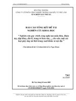 Nghiên cứu quy trình công nghệ tạo mẫu thêu, khâu tay, dập khuy, đột lỗ, trang trí hoa văn,   , cho sản xuất các loại giày ủng nữ thời trang xuất khẩu và nội địa