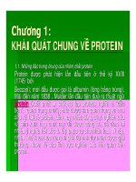 bài giảng công nghệ protein enzyme chương 1 khái quan chung về protein