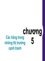 chương 5 các hãng trong những thị trường cạnh tranh