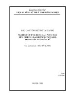 Nghiên cứu ứng dụng các phức màu hữu cơ kim loại (hợp chất cơ kim) trong sản xuất gốm sứ