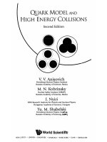 Anisovich VV kobrinsky MN nyiri j shabelski yum quark model and high energy collisions