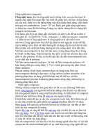 Công nghệ nano composite