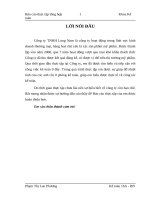 Đặc điểm hoạt động kinh doanh của công ty tnhh long nam