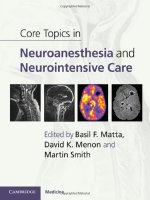 core topics in neuroanaesthesia, neurointensive care  -  b. matta, et. al., (cambridge, 2011)