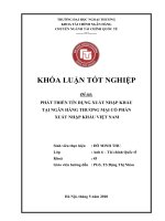 Phát triển tín dụng xuất khẩu tại ngân hàng thương mại cổ phần xuất nhập khẩu Việt Nam