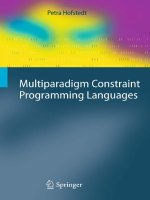 multiparadigm constraint programming languages