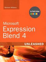 microsoft expression blend 4 unleashed