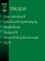 BÀI THUYẾT TRÌNH TỔNG QUAN VỀ KHÍ HF