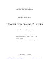 luận văn tổng lũy thừa của các số nguyên
