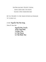 TÌM HIỂU VÀ THU NHẬN ENYME SACCHARASE TỪ VI SINH VẬT