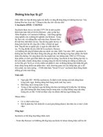 Đường hóa học là gì