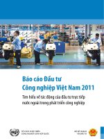 Báo cáo đầu tư công nghiệp Việt Nam 2011