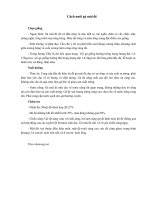 Cách nuôi gà mái đẻ