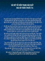 vài nét về hiện trạng sản xuất rau